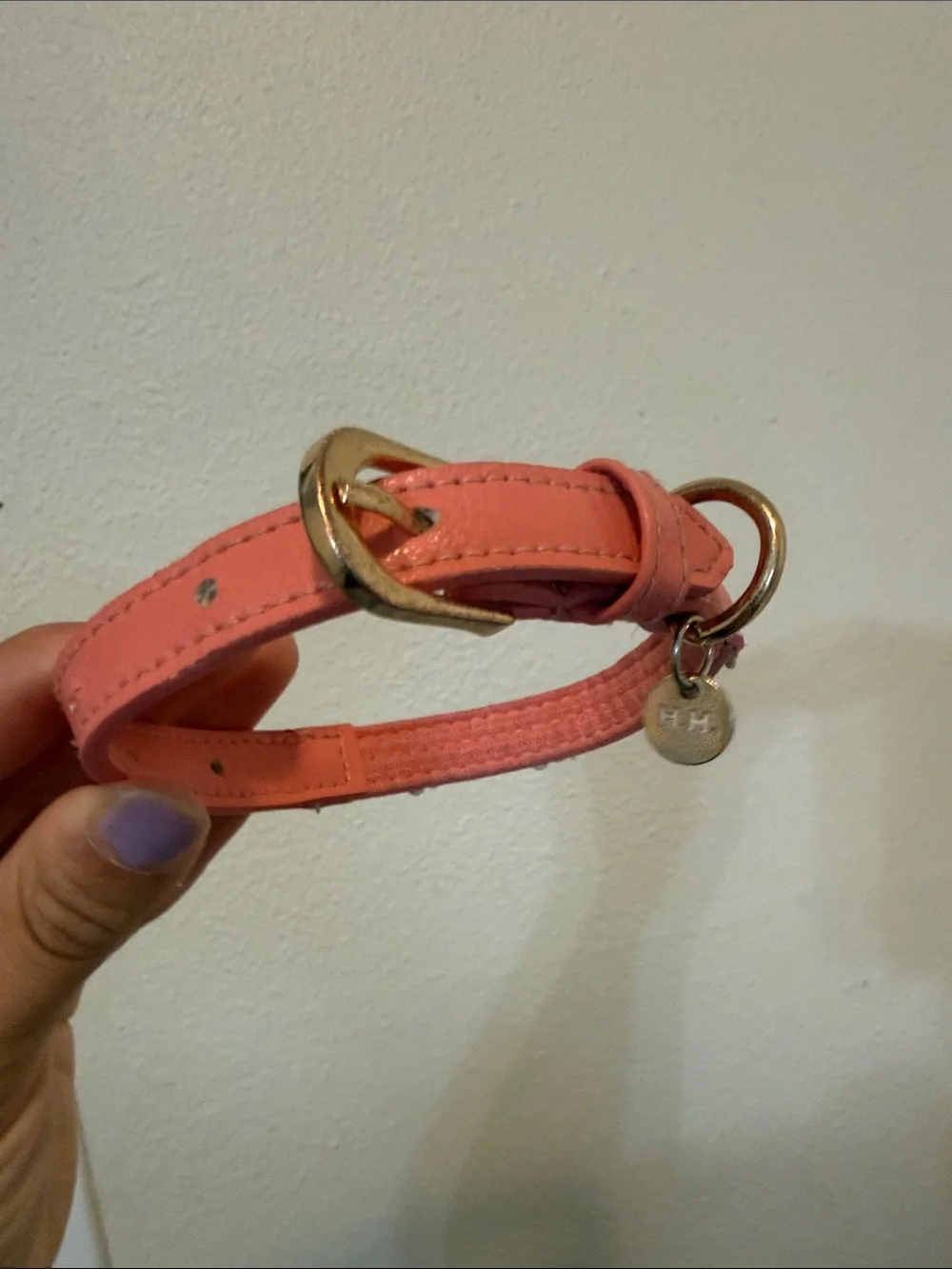 Hooray House Daisy Dog Collar Small